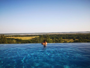 Solana's View
